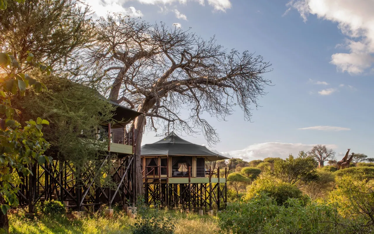 Tarangire Kuro Treetops Lodge, Tarangire