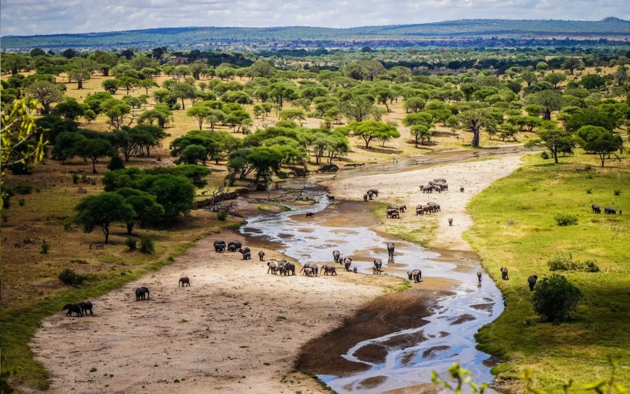 Tarangire Safari Lodge, Tarangire