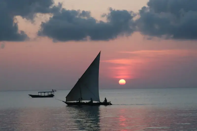 Safari en Tanzanie et plage à Zanzibar, 10 jours 1