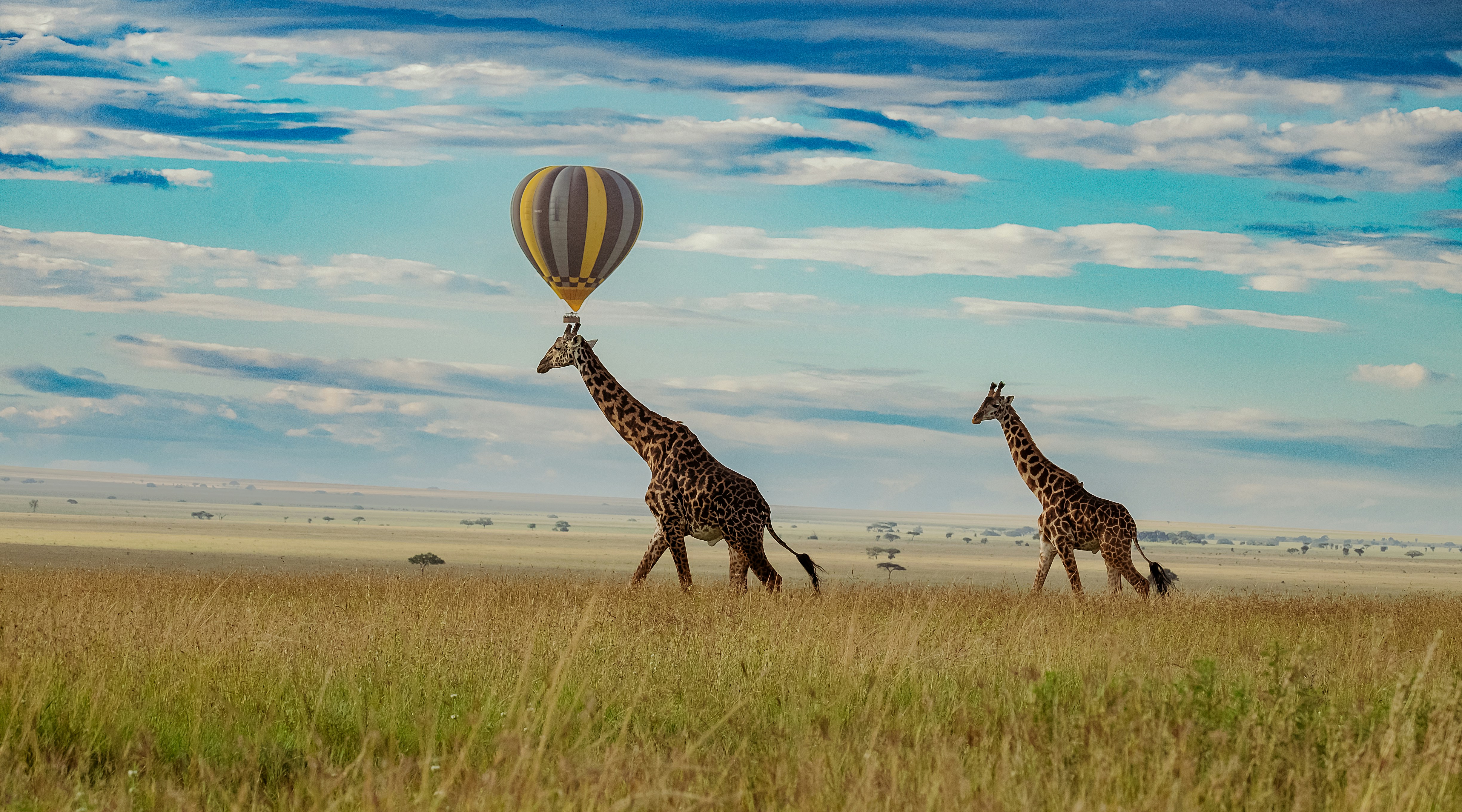 10-Day Tanzania Lifetime Safari - Tanzania Safari Magic