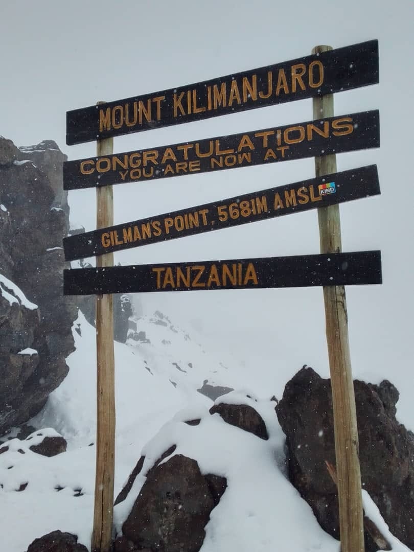 Kilimanjaro Acclimatization: Pole Pole & Safer Pacing