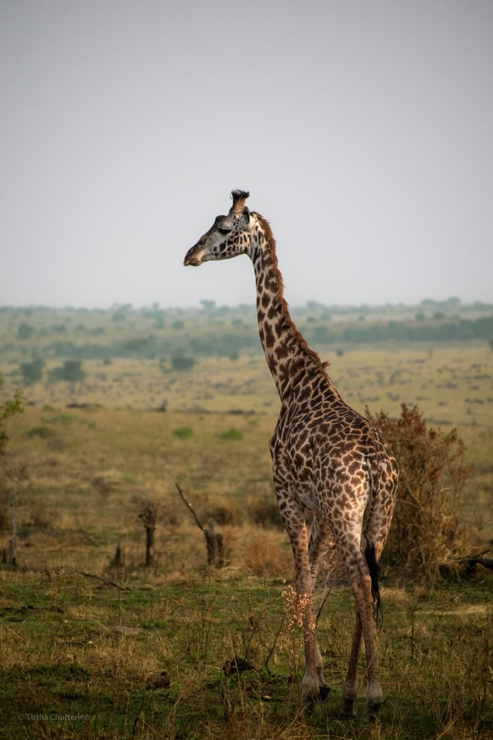 Lake Manyara National Park - Tanzania destination