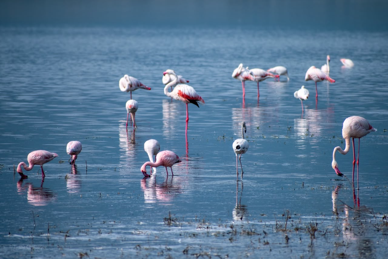 Ngorongoro Conservation Area - Tanzania destination