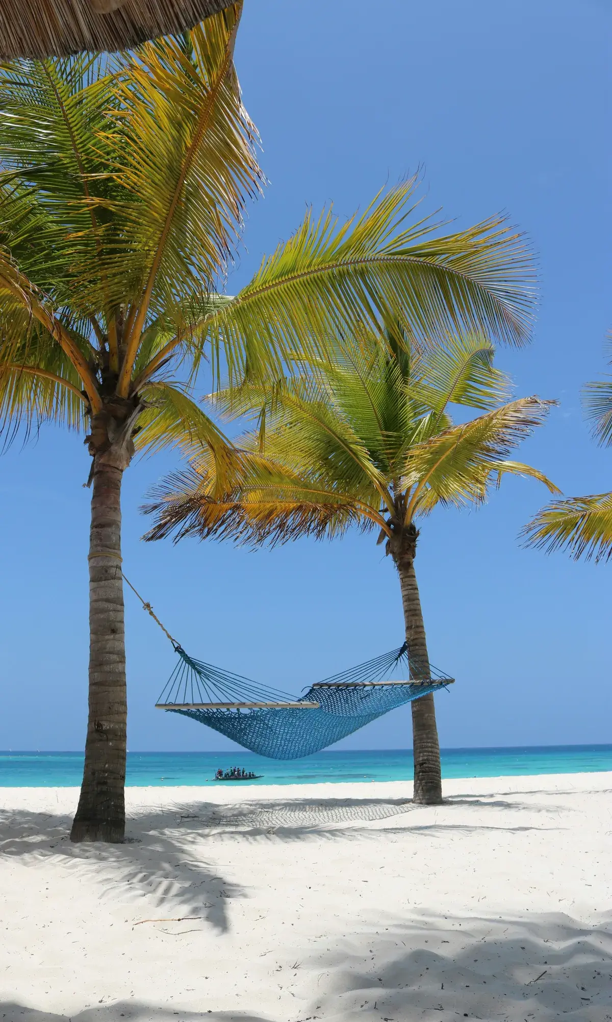 Palm-fringed beach day on Zanzibar