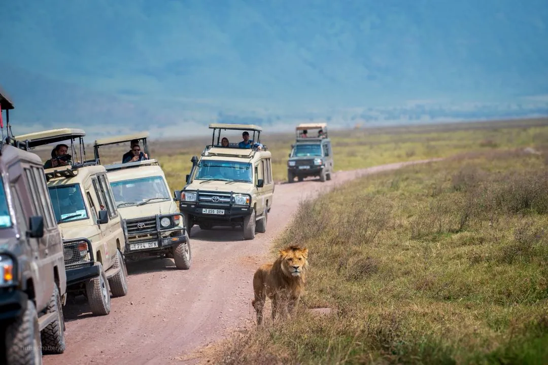 Group safari in Tanzania